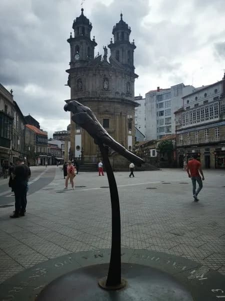 El Loro Ravachol en Pontevedra