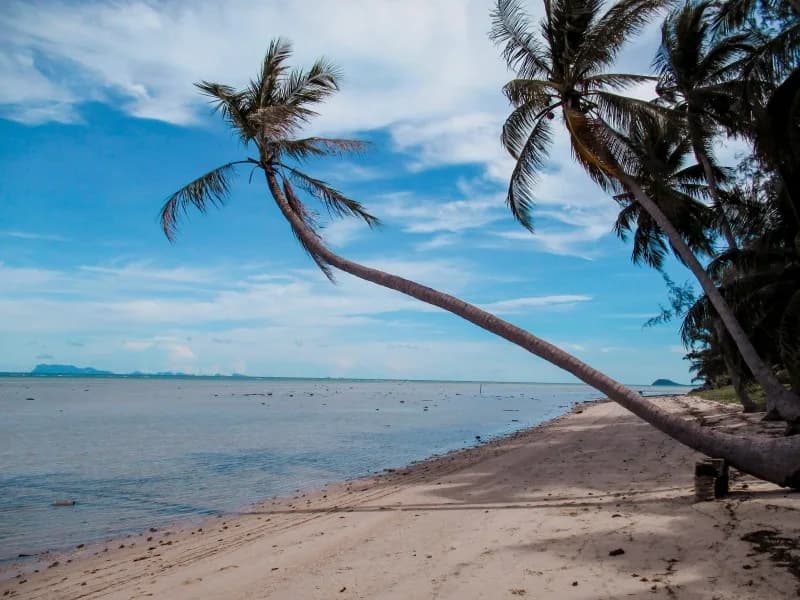 Qué ver en Tailandia, Koh Samui