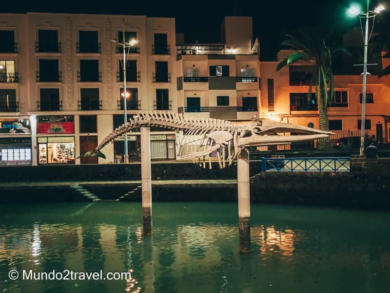Qué ver en Lanzarote, Esqueleto de ballena de Arrecife