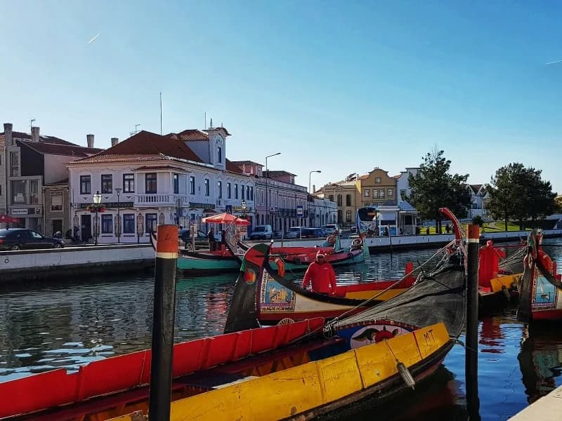 Qué ver en Oporto, Aveiro