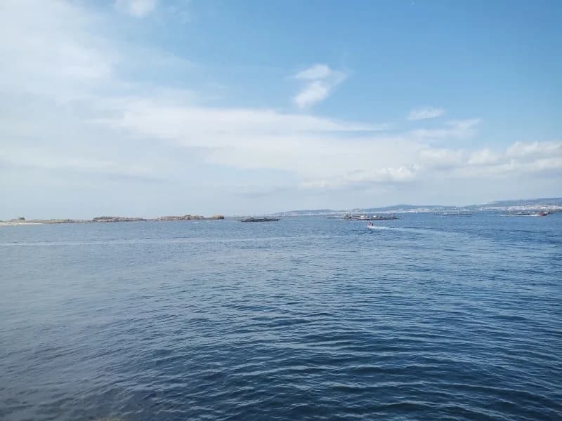 Bateas de mejillones en la Isla de Arousa