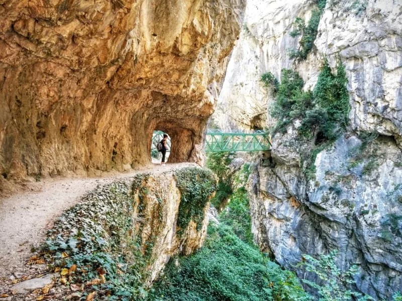 La ruta del Cares, Puente de los rebecos