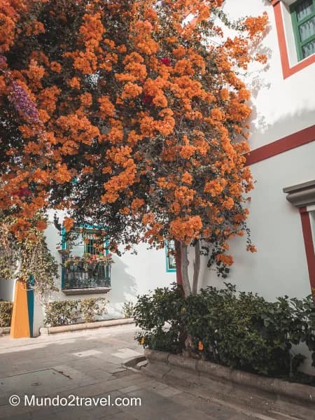 Qué ver en Gran Canaria, Puerto de Mogán - La pequeña Venecia canaria