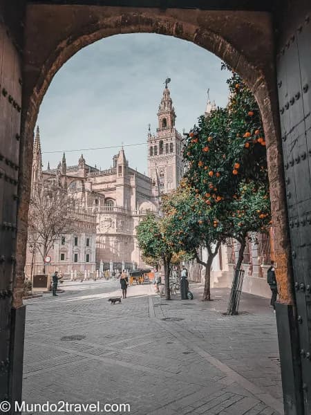 Qué ver en Sevilla, la Giralda desde la salida del Alcazar